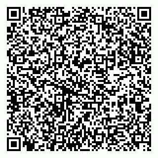 vCard 79951068305