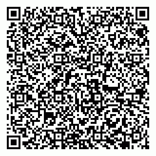 vCard 79951068306