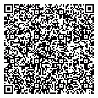 vCard 79951068311