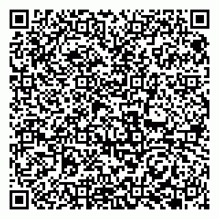 vCard 79951068313