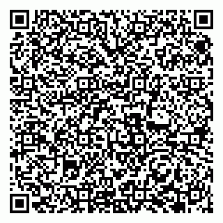 vCard 79951068314