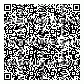 vCard 79951068319