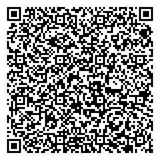 vCard 79951068320