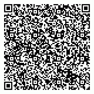 vCard 79951068323
