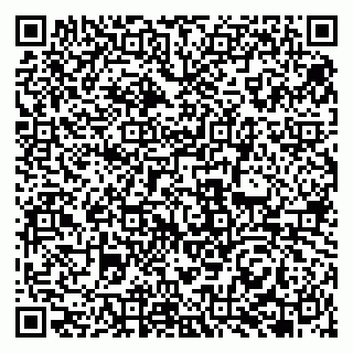 vCard 79951068329