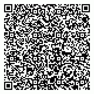 vCard 79951068330