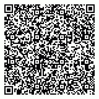 vCard 79951068331