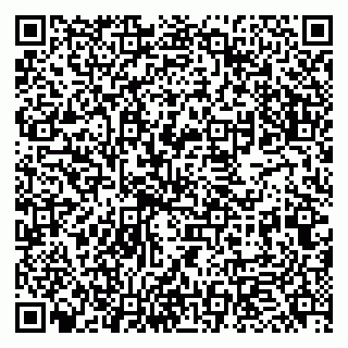 vCard 79951068333