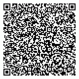 vCard 79951068335