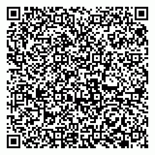 vCard 79951068337