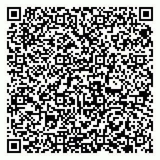 vCard 79951068351