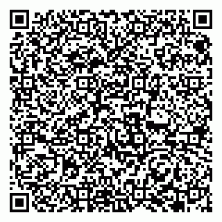 vCard 79951068372