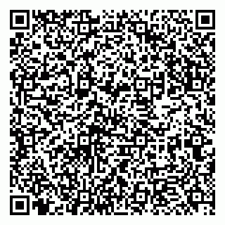 vCard 79951068373