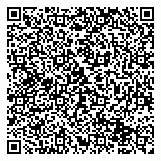 vCard 79951068374