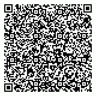 vCard 79951068379