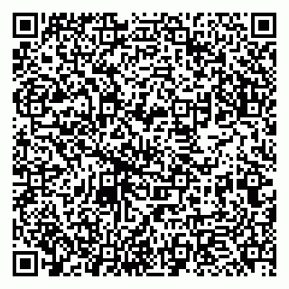 vCard 79951068381