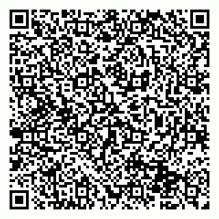 vCard 79951068384