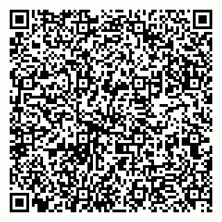 vCard 79951068386