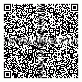 vCard 79951068387