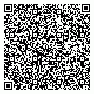 vCard 79951068390