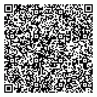 vCard 79951068399