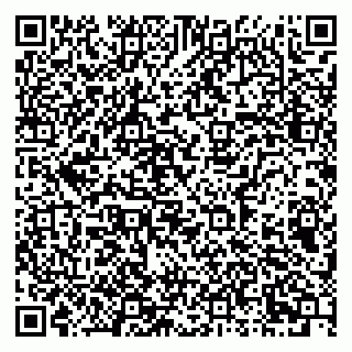 vCard 79951072010