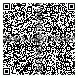 vCard 79951072032