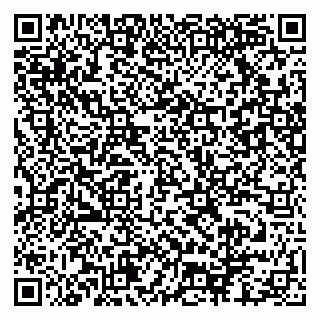 vCard 79951072079