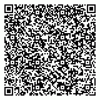 vCard 79951072087