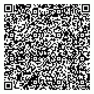 vCard 79951072138
