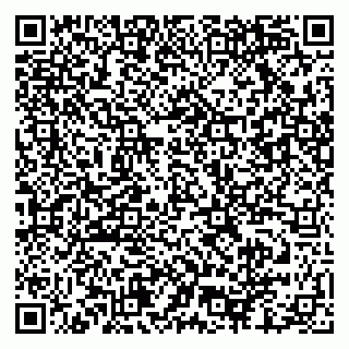 vCard 79951072209