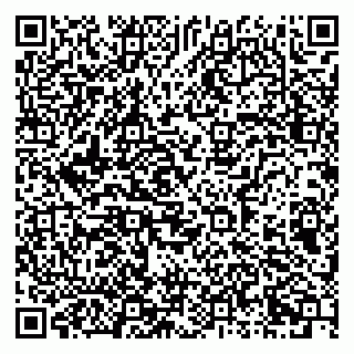 vCard 79951072249