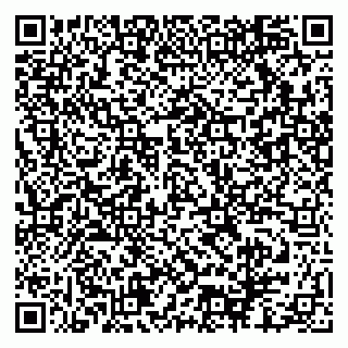 vCard 79951072335
