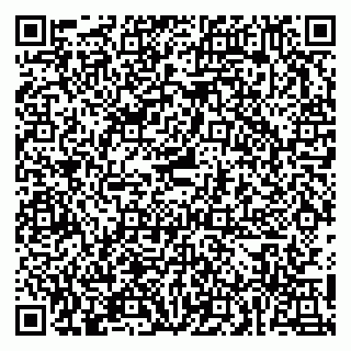 vCard 79951100374