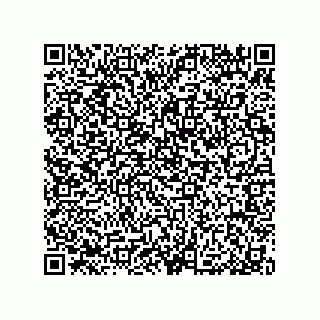 vCard 79954007808