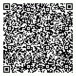 vCard 79958000539