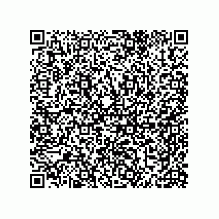 vCard 79959700173