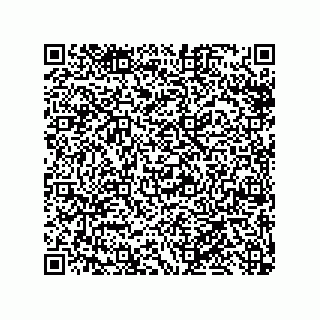 vCard 79959960133