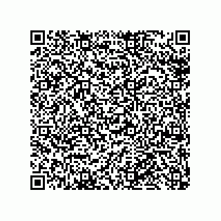 vCard 79959960203