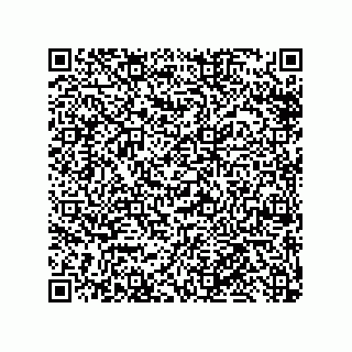 vCard 79959960253