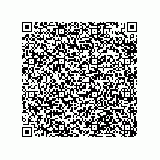 vCard 79959960298