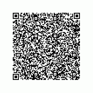 vCard 79959960303