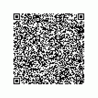 vCard 79959960319