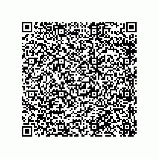 vCard 79959960381