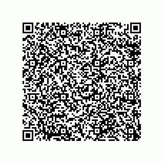 vCard 79959960384