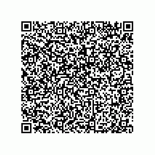 vCard 79959960385
