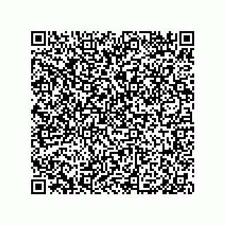 vCard 79959960387