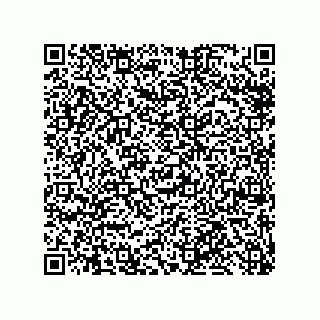 vCard 79959960395