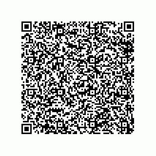 vCard 79959960396