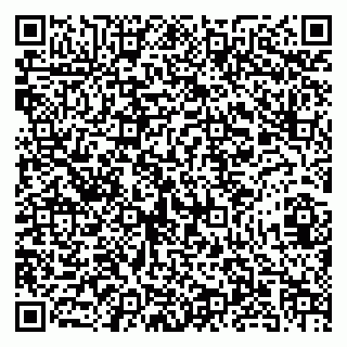 vCard 79960200294